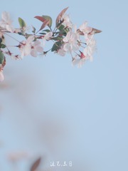 467F5CBE-8838-4E6D-A867-1E4F777B161A/L0/001