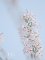 A6E6FD13-F963-4540-8A7C-DBCFEAE7C49F/L0/001