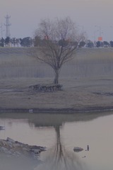 6E4C6CEC-91B5-4F2D-9003-764EDCD0CDF8/L0/001