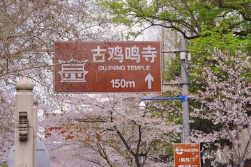 3549700