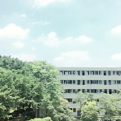 2250312