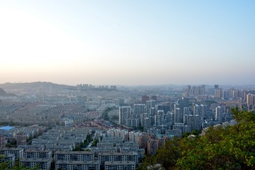 DSC_3921-1