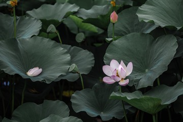 _DSC6190-2