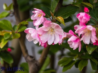 _DSC3290-1