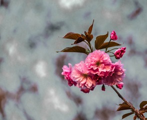_DSC3880-1