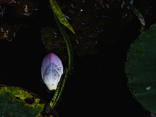 _DSC6015-2
