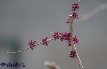 _DSC3049-1