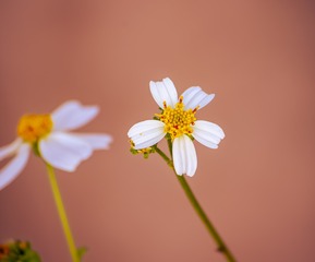 219151