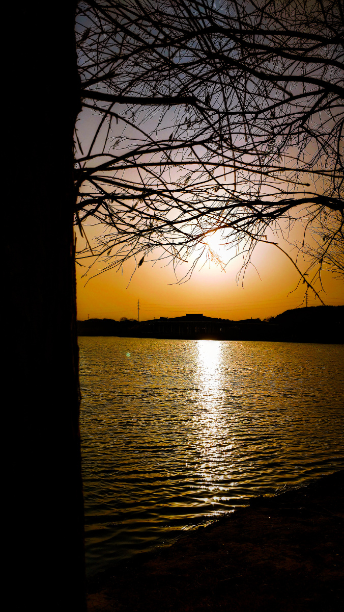 前三张夕阳无限好后三张淡淡的蓝色淡淡的忧伤