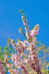 58F42B99-A994-4D36-9925-6C62B9F3C45B/L0/001