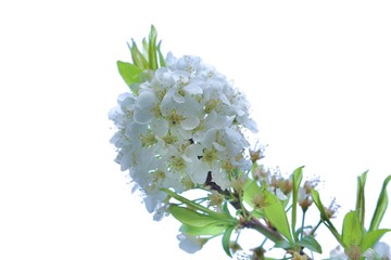 59A92F93-194C-4E35-96E8-548E913BD3FE/L0/001