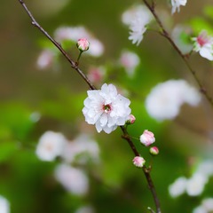 A673B6FF-F714-43B8-AB4B-CE9902CAA777/L0/001