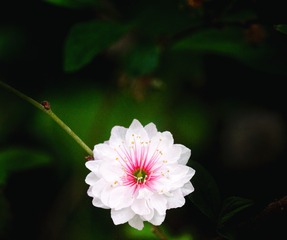 057C62C5-5EC2-4BA8-BA55-B5B25F588508/L0/001