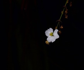 6CAC3A69-276E-4899-9A62-A7AEF1E740FD/L0/001