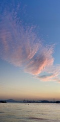B5731A85-4D50-45BF-B0CF-3C6FD6177929/L0/001