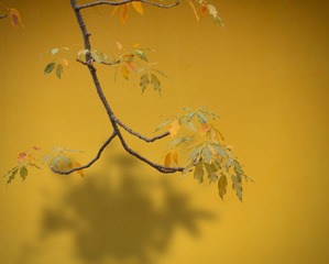 CB0F76A7-0AB1-4DD0-A090-4B1D236213DD/L0/001