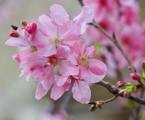A76202FD-9B69-46D4-A397-1A2F07B62FDC/L0/001