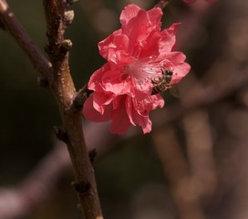 DF9F3826-026F-42B4-850A-82249D62AE8E/L0/001