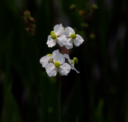 34B3A30B-3909-4DA9-9EE3-9CB120D8B988/L0/001
