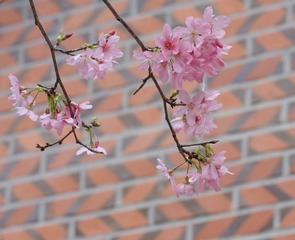 B8F3B73A-0711-4B28-ACC0-5F33B78EE40B/L0/001