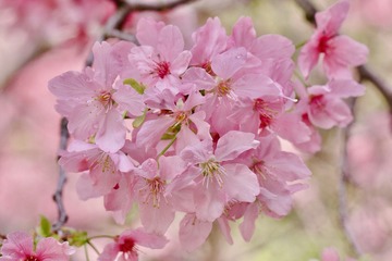 7CE77C18-964A-4C23-8EAA-A8E353D8ABE6/L0/001