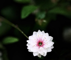56247F1B-CEF1-485C-B1BA-B0DBA4A75F30/L0/001