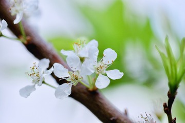 A7D5AD2F-C4CC-450B-B1EC-A51FE67A6681/L0/001