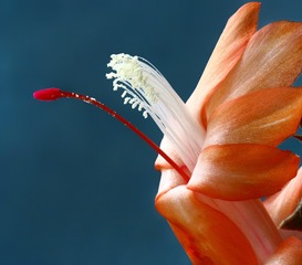 A8F0D1C4-F72B-4DF9-B096-16A695CFC02A/L0/001
