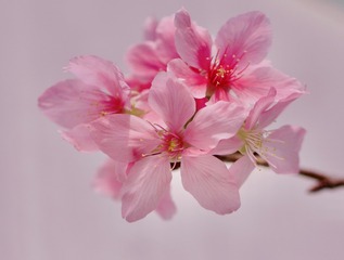 A27B09AF-0CF3-4B3B-83E5-157D0C9439EB/L0/001