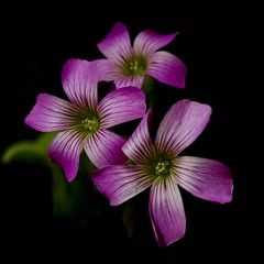 B082EC13-0AB5-4153-8C1F-E5E8634A494B/L0/001