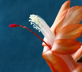 52583D86-7FDF-4AD6-BD53-516398A55EF2/L0/001