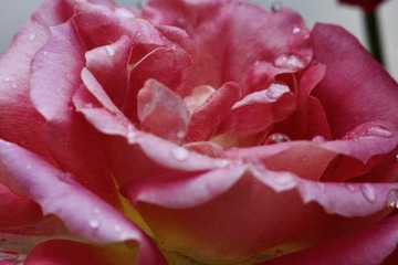 872D2999-D517-431B-85EF-0AB4BBA295F9/L0/001