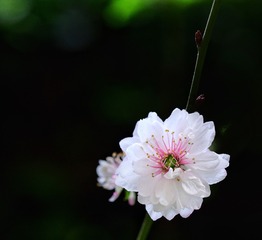 E5EB124F-9844-46C6-B627-88AB9E3EF867/L0/001