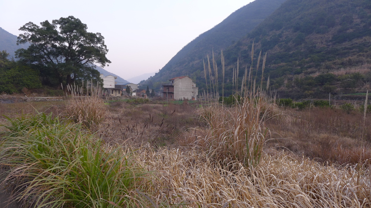 大山里的故事阳新县太子镇上港村