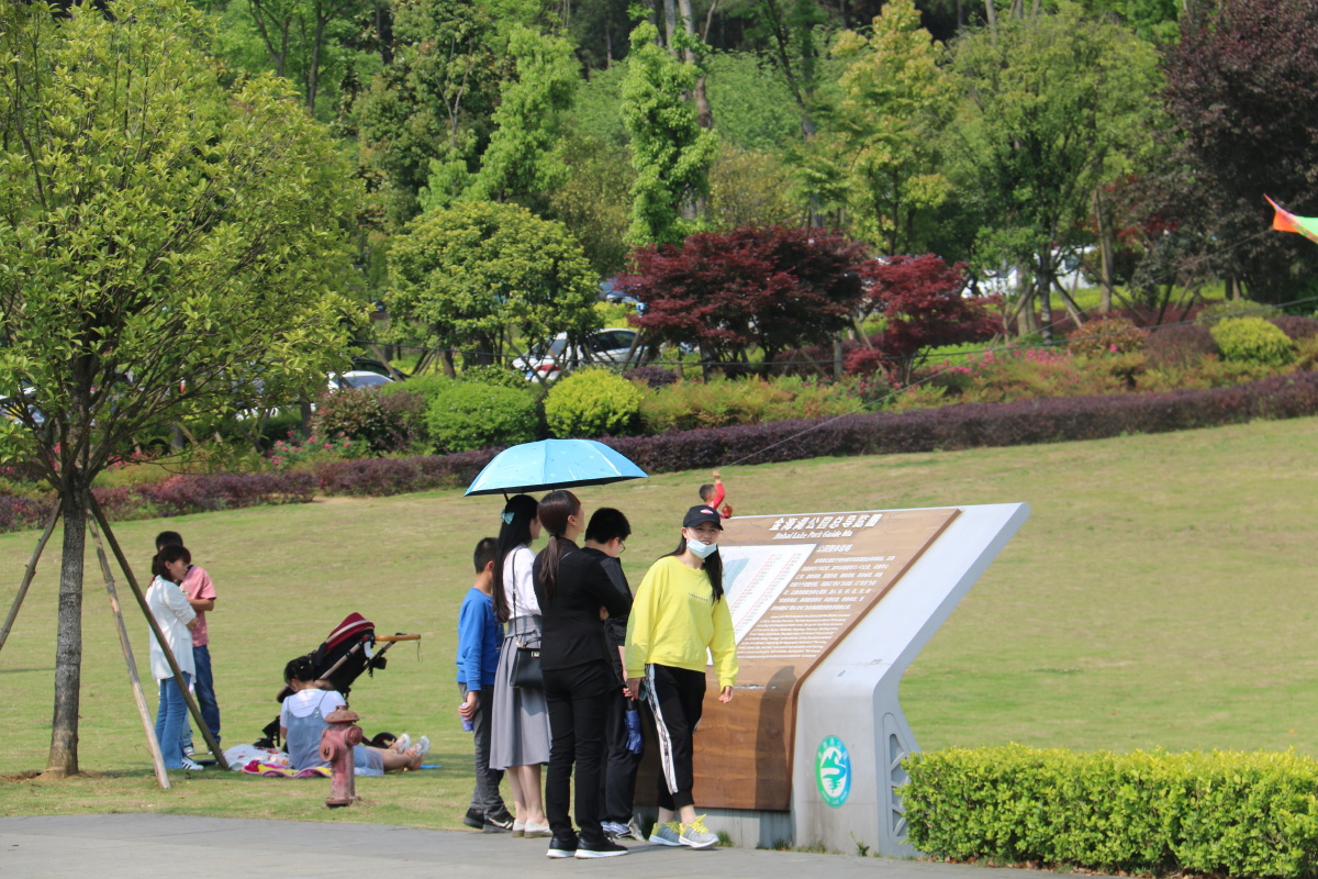 初夏微风拂面公园内游客络绎不绝
