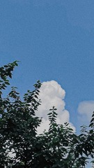 D711909C-7A7C-441B-A21F-7C365E744407/L0/001