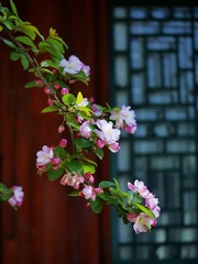1F657DF2-286A-4FE5-A187-3720129214BB/L0/001