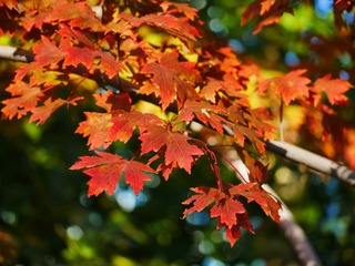 B520A150-10F9-4E79-9F75-78E10676EA9B/L0/001
