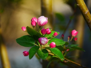 8880F77D-E943-47D6-99AF-4804A1102E58/L0/001