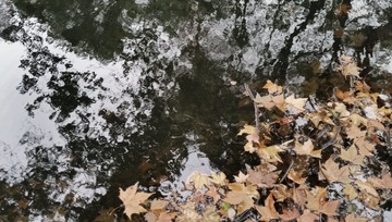 20161221_162358
