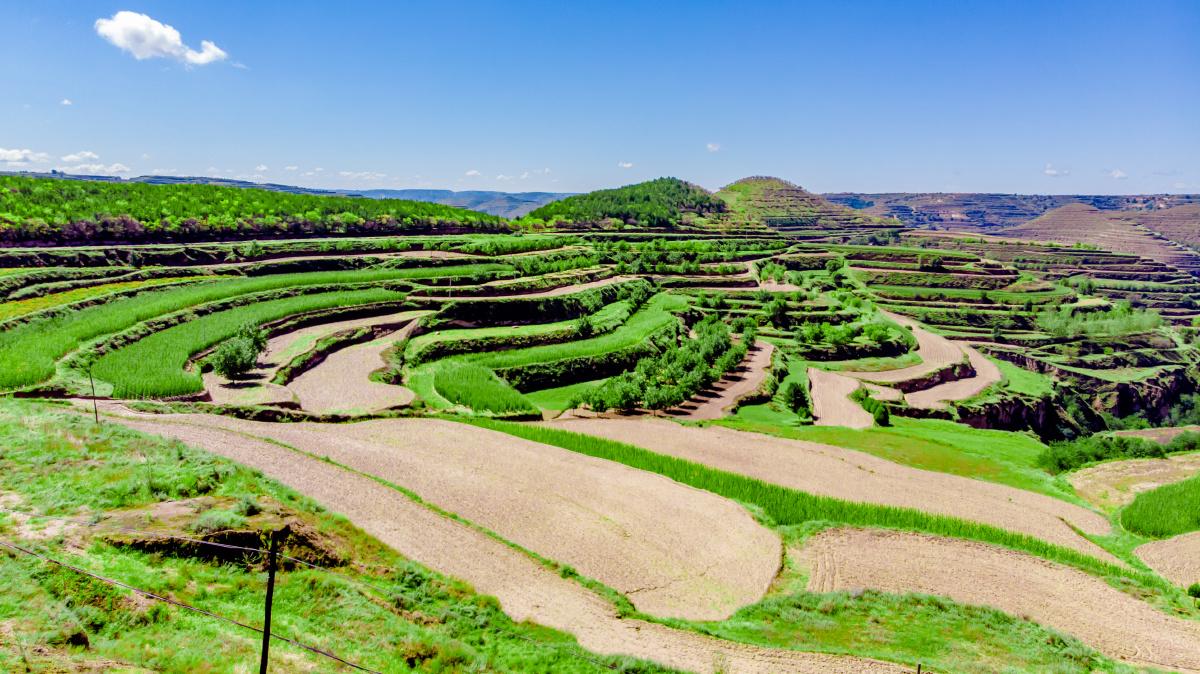 黄土高原地貌甘肃庆阳
