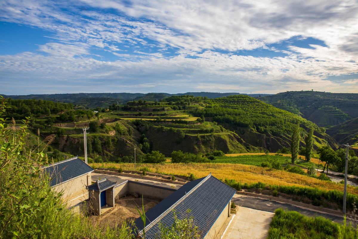 甘肃陇东黄土高原七月景色