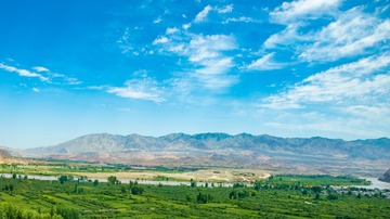 _GK19382