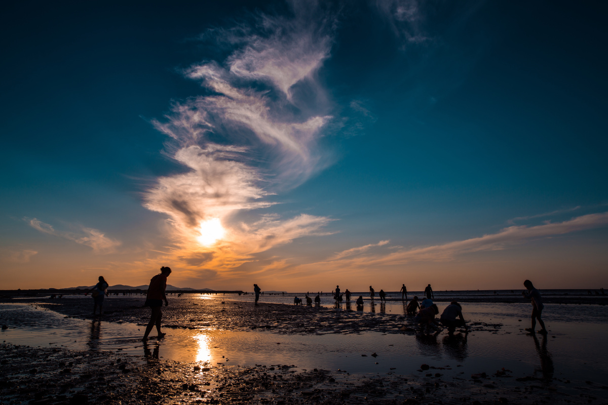 大连夏家河子海滨浴场赶海的人