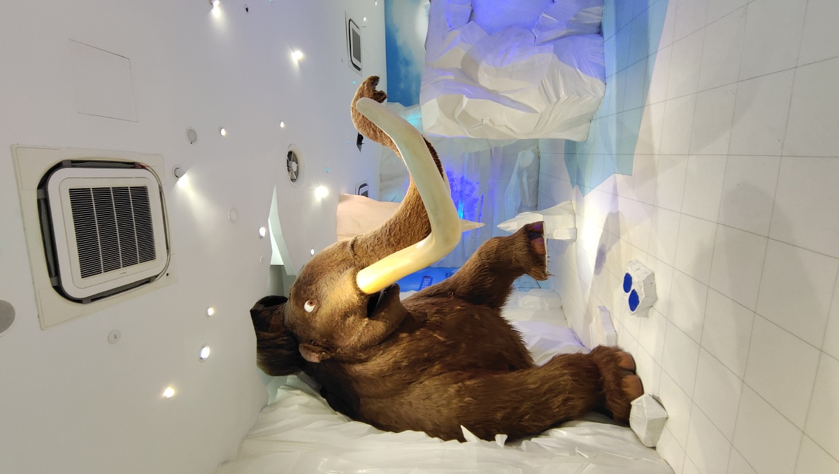 上海杜莎夫人蜡像馆 - 可以论 - 图虫