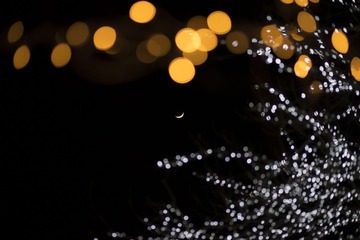 _DSC8379
