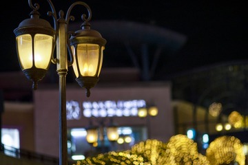 _DSC8387