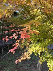 30E83BC1-BC3E-4DB7-91CA-B9E51706F2EB/L0/001