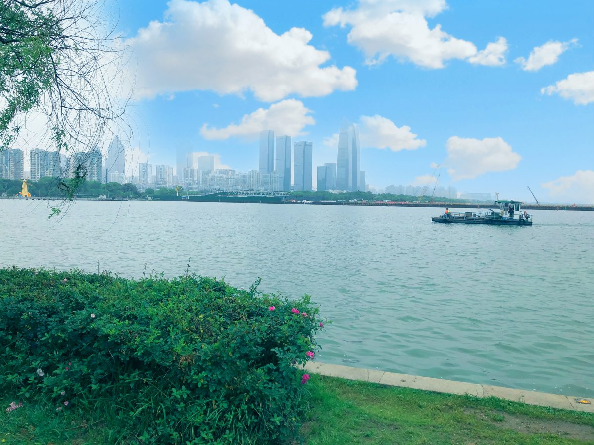 风景区苏州园林湖李公堤