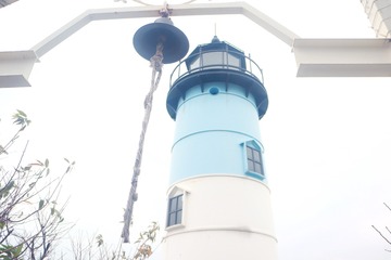 2272491